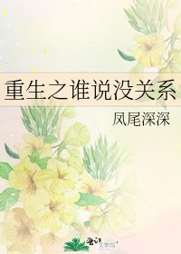《重生之谁说没关系》
