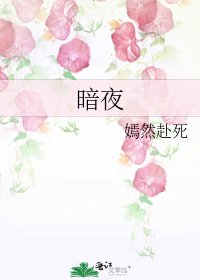 《暗夜》