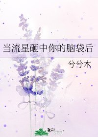 《当流星砸中你的脑袋后》