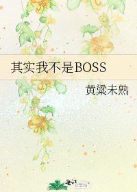 《其实我不是BOSS》