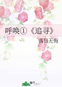 《追寻》