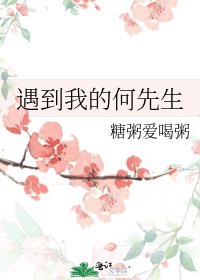《遇到我的何先生》