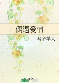 偶遇爱情