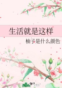 《生活就是这样》