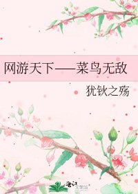 《网游天下——菜鸟无敌》