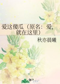《爱这傻瓜(原名:爱,就在这里)》