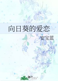 《向日葵的爱恋》