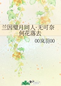 《兰因璧月同人·无可奈何花落去》