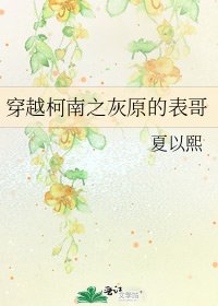 《穿越柯南之灰原的表哥》