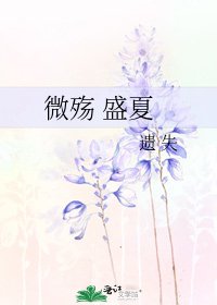 《微殇 盛夏》