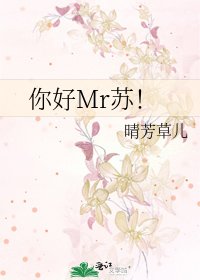 《你好Mr苏!》