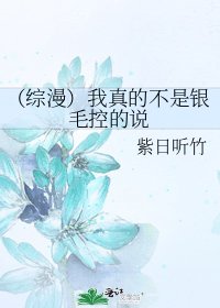 《(综漫)我真的不是银毛控的说》