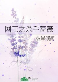 《网王之杀手蔷薇》