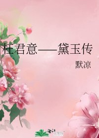 《枉君意——黛玉传》