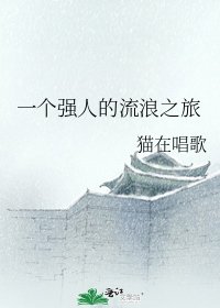 《一个强人的流浪之旅》