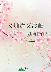 《又灿烂又冷酷》