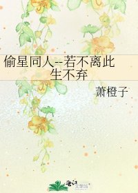 《偷星同人--若不离此生不弃》