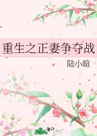 《重生之正妻争夺战》