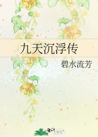 《九天沉浮传》