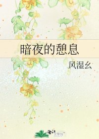 《暗夜的憩息》