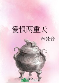 《爱恨两重天》