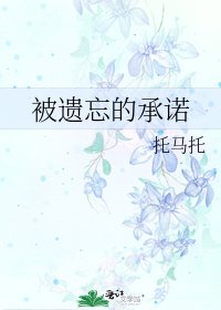 《被遗忘的承诺》