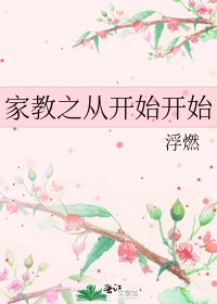 《家教之从开始开始》