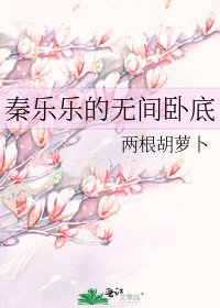 《秦乐乐的无间卧底》
