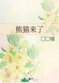 《熊猫来了》