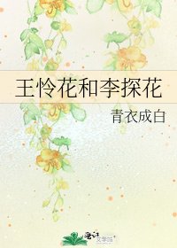 《王怜花和李探花》