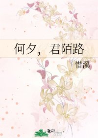 何夕，君陌路