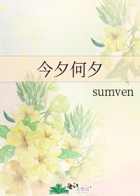 《今夕何夕》