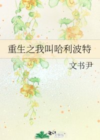 《重生之我叫哈利波特》