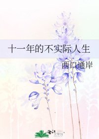 《十一年的不实际人生》