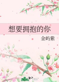 《想要拥抱的你》