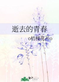 《逝去的青春》