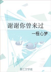 《谢谢你曾来过》