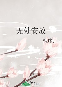 《无处安放》