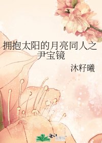 《拥抱太阳的月亮同人之尹宝镜》