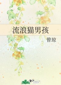 《流浪猫男孩》