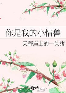《你是我的小情兽》