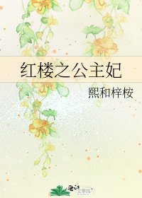 《红楼之公主妃》