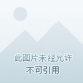 《甘为公主裙下臣》