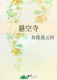 《悬空寺》