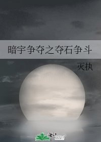 《暗宇争夺之夺石争斗》