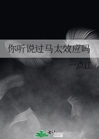 《你听说过马太效应吗》