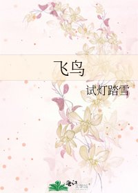《飞鸟》