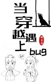 当穿越遇上bug