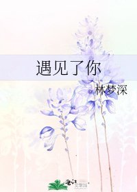 《遇见了你》
