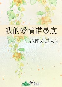 《我的爱情诺曼底》